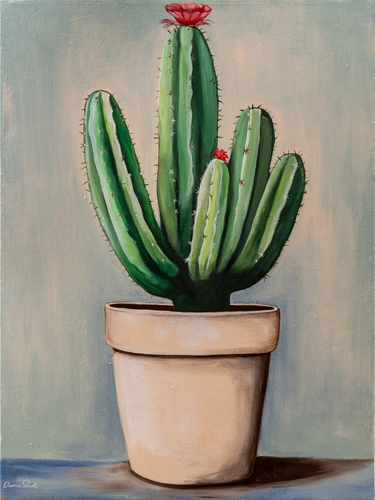 Cactus in Bloom